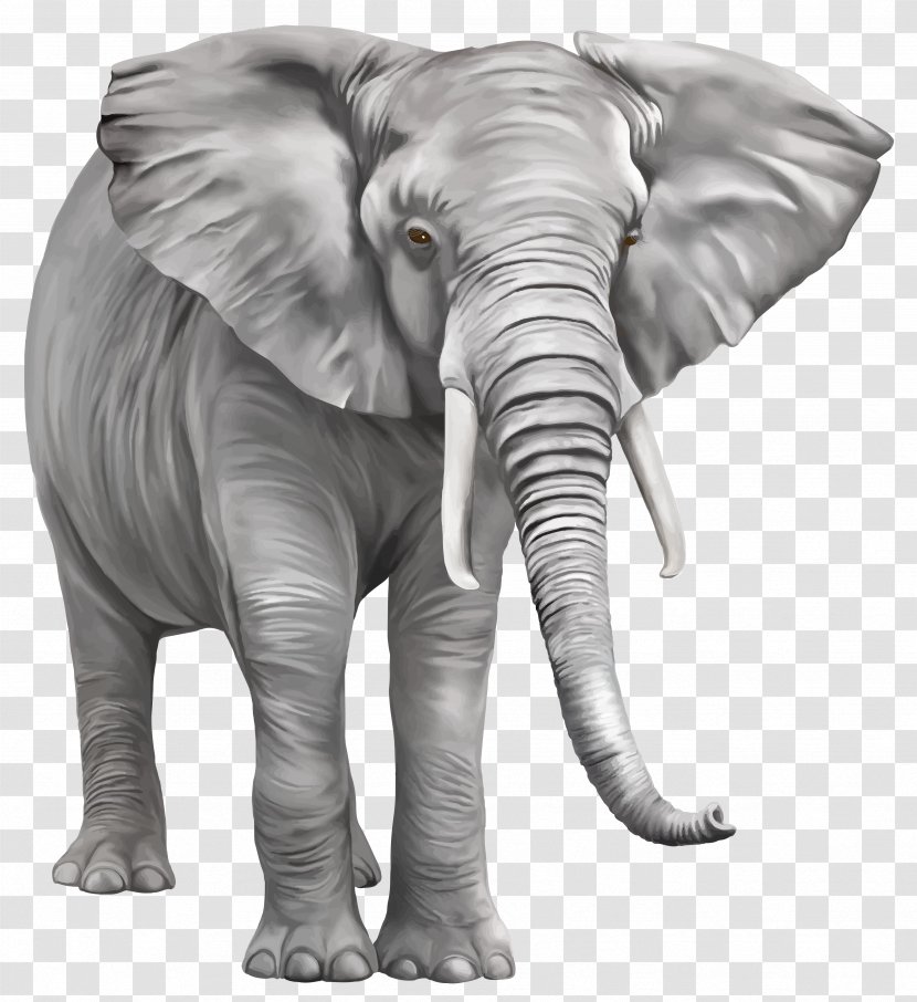 Indian Elephant Clip Art - Free Download Transparent PNG