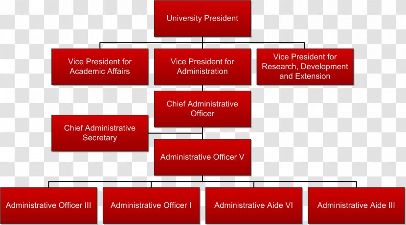 Organizational Structure Eastern Center For Arts And Technology Management University Of Mindanao - Education Transparent PNG