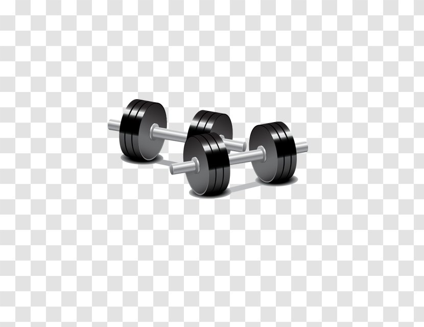 Dumbbell Barbell Weight Training Physical Exercise - Kettlebell - Vector Transparent PNG