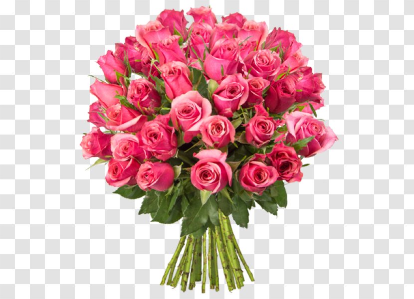 Rose Pink Buchete.ro Red Cut Flowers - Color Transparent PNG