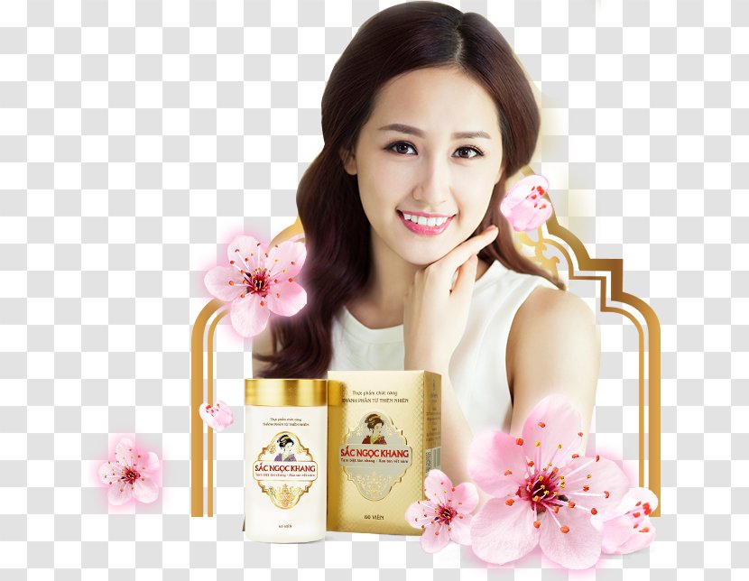 Mai Phương Thúy Miss Vietnam Cosmetics Skin Beauty - Cheek - Hoa Transparent PNG