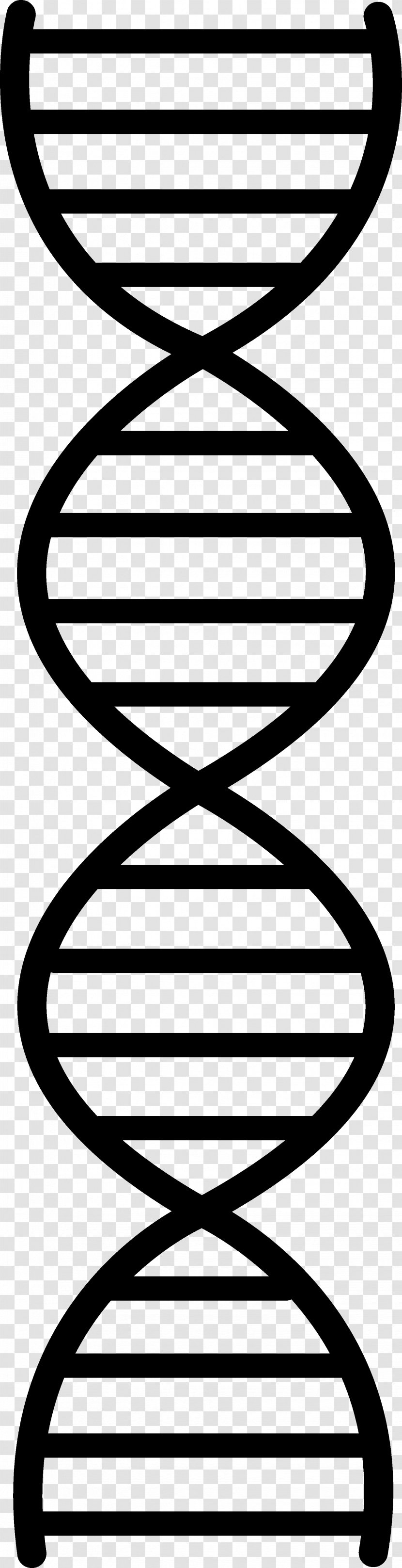 DNA Replication Nucleic Acid Double Helix Clip Art - Tree - Vector Transparent PNG