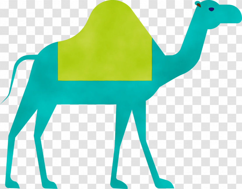 Camel Green Arabian Camel Camelid Animal Figure Transparent PNG