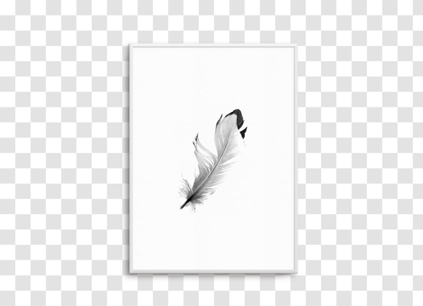 Feather Tail White - Floating Transparent PNG