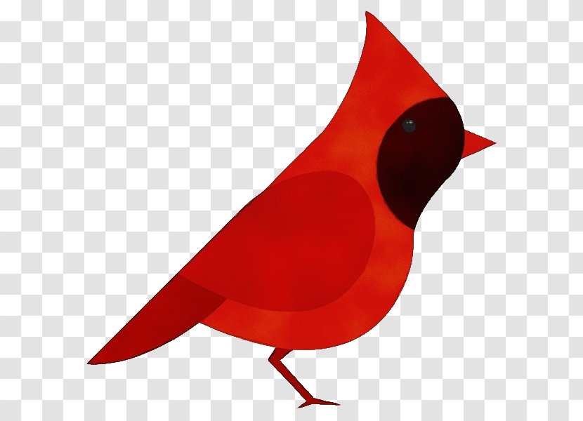 Bird Red Cardinal Beak Songbird - Perching Transparent PNG