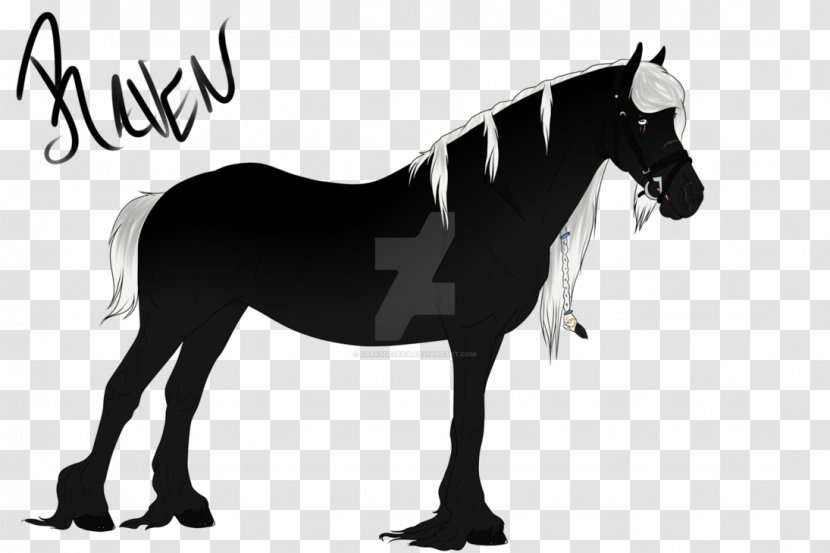 Mane Mustang Stallion Pony Mare - Pack Animal - Mud Horse Transparent PNG