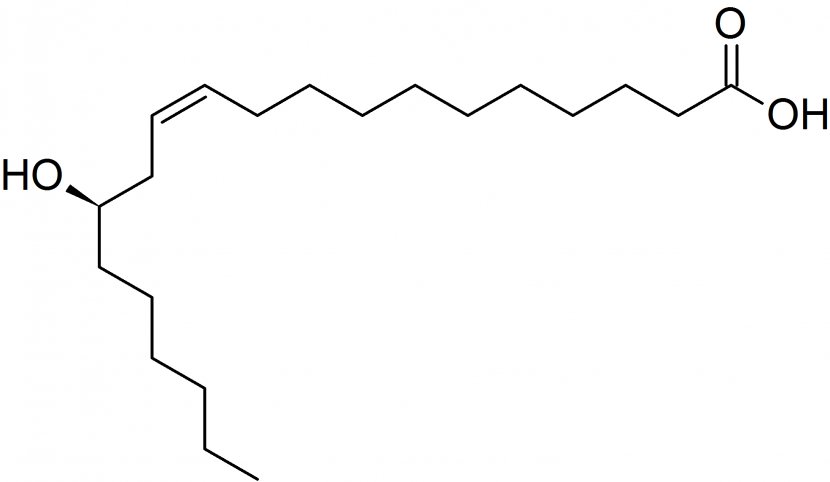 Lesquerolic Acid Alpha Hydroxy Organic Paysonia - Symmetry Transparent PNG