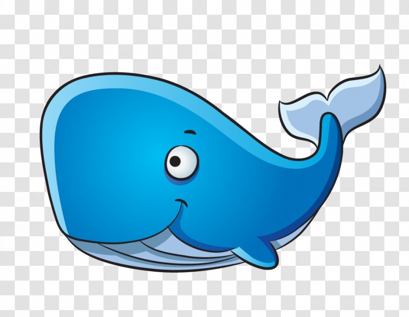 Dolphin Blue Whale Drawing Humpback - Line Art Transparent PNG