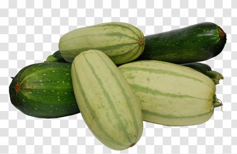 Pickled Cucumber Spreewald Gherkins Zucchini Winter Squash Transparent PNG