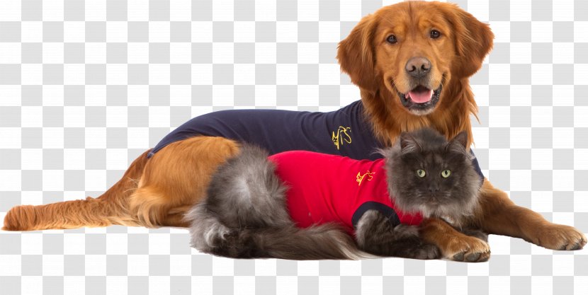 T-shirt Cat Dog Cap Sleeve - Golden Retriever Transparent PNG