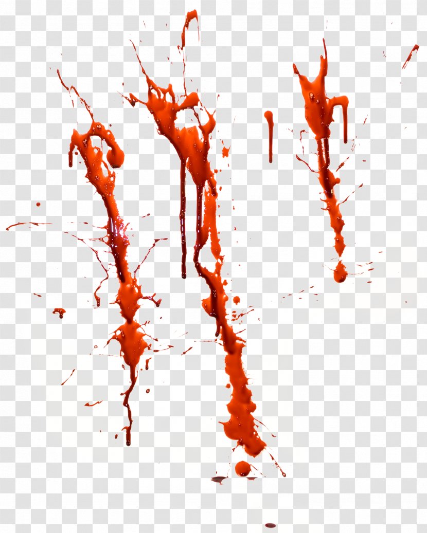 Blood Download - Art Transparent PNG