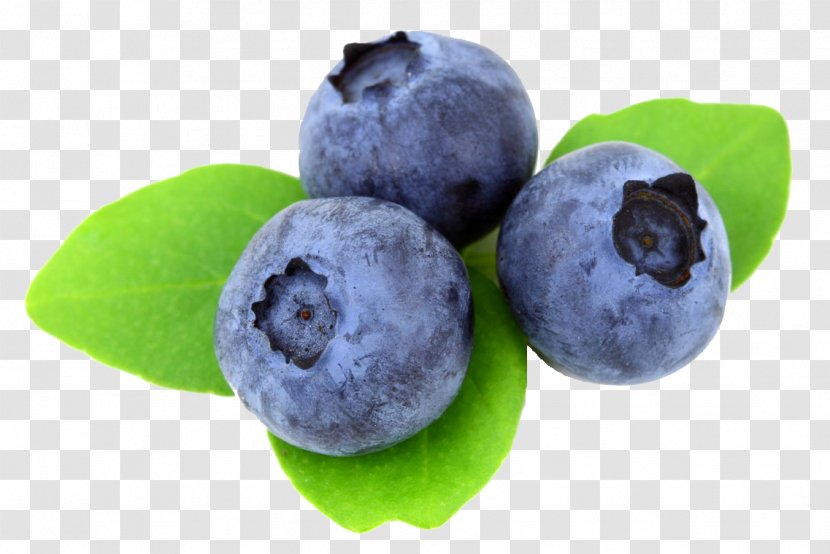 Juice Blueberry Muffin Desktop Wallpaper - Bilberry - Berry Transparent PNG