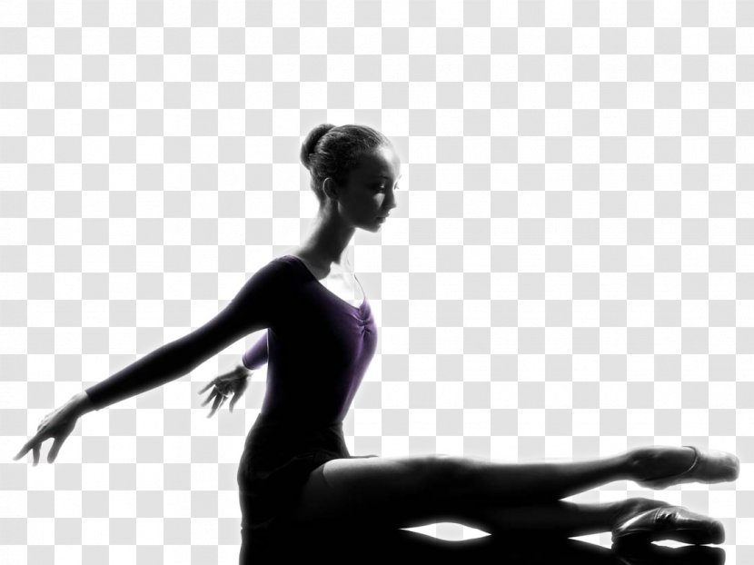 Ballet Dancer Floor-Barre - Tree - Beauty Transparent PNG