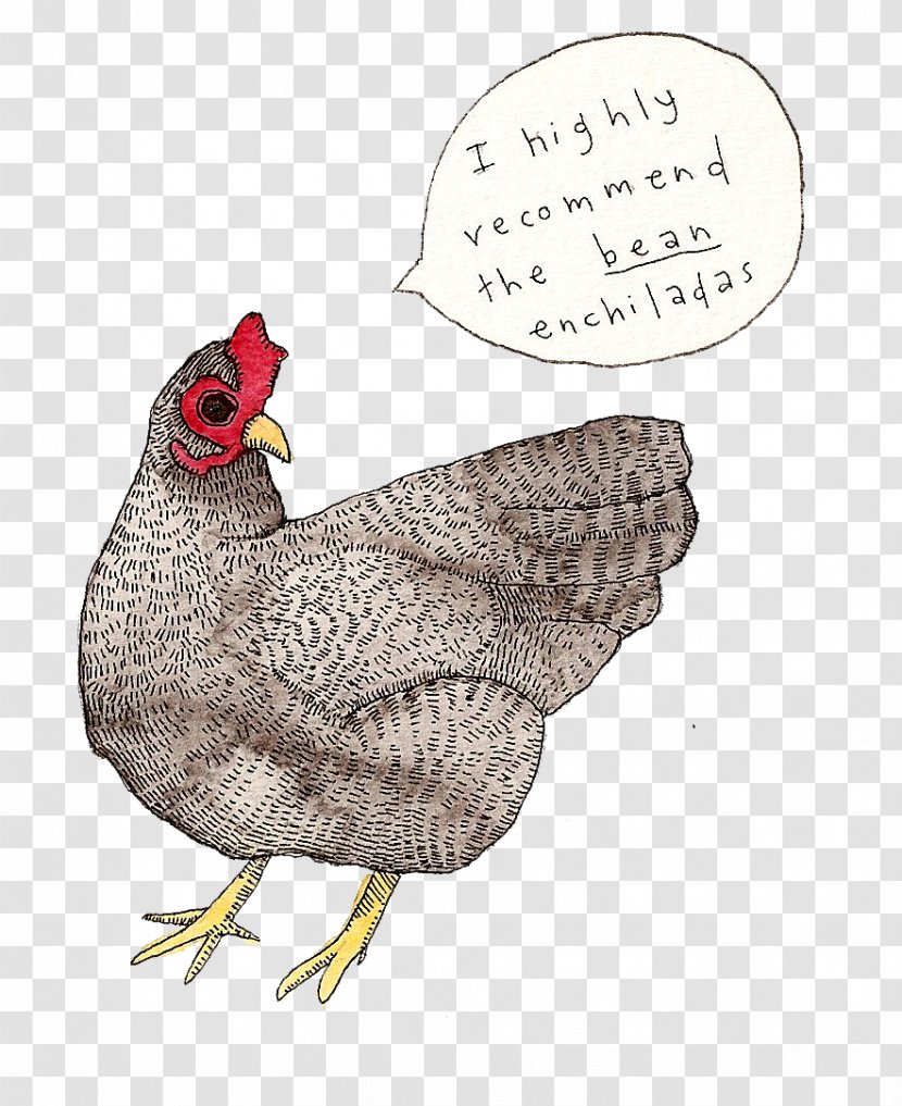 Rooster Fauna Illustration Beak Chicken As Food - Chota Bheem Transparent PNG