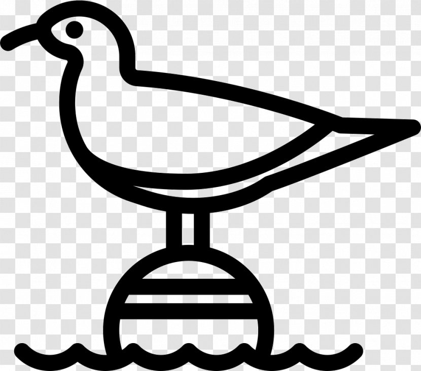 Gulls Clip Art - Ducks Geese And Swans - Duck Transparent PNG