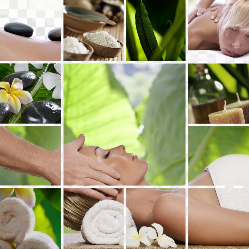 Day Spa Massage In LA Stone - SPA Health Material Transparent PNG