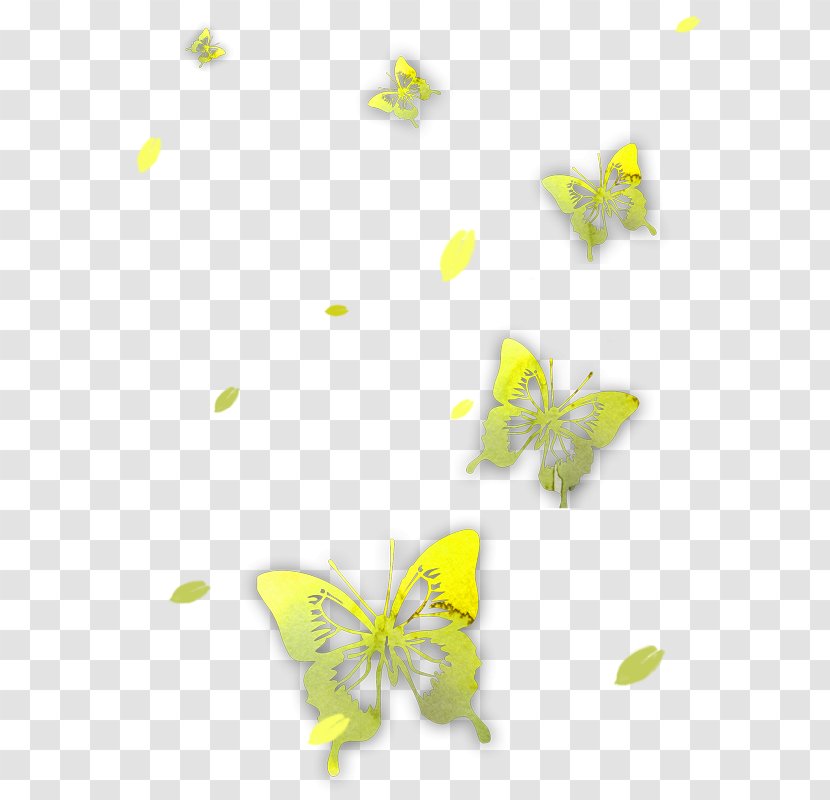 Butterfly Icon - Flower Fly Transparent PNG