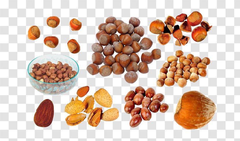 English Walnut Dried Fruit - Ingredient - Photos Transparent PNG