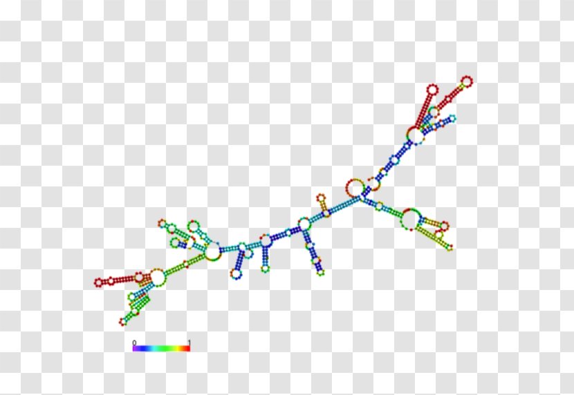 Messenger RNA Base Pair Transfer Post-transcriptional Modification - Rna Interference Transparent PNG