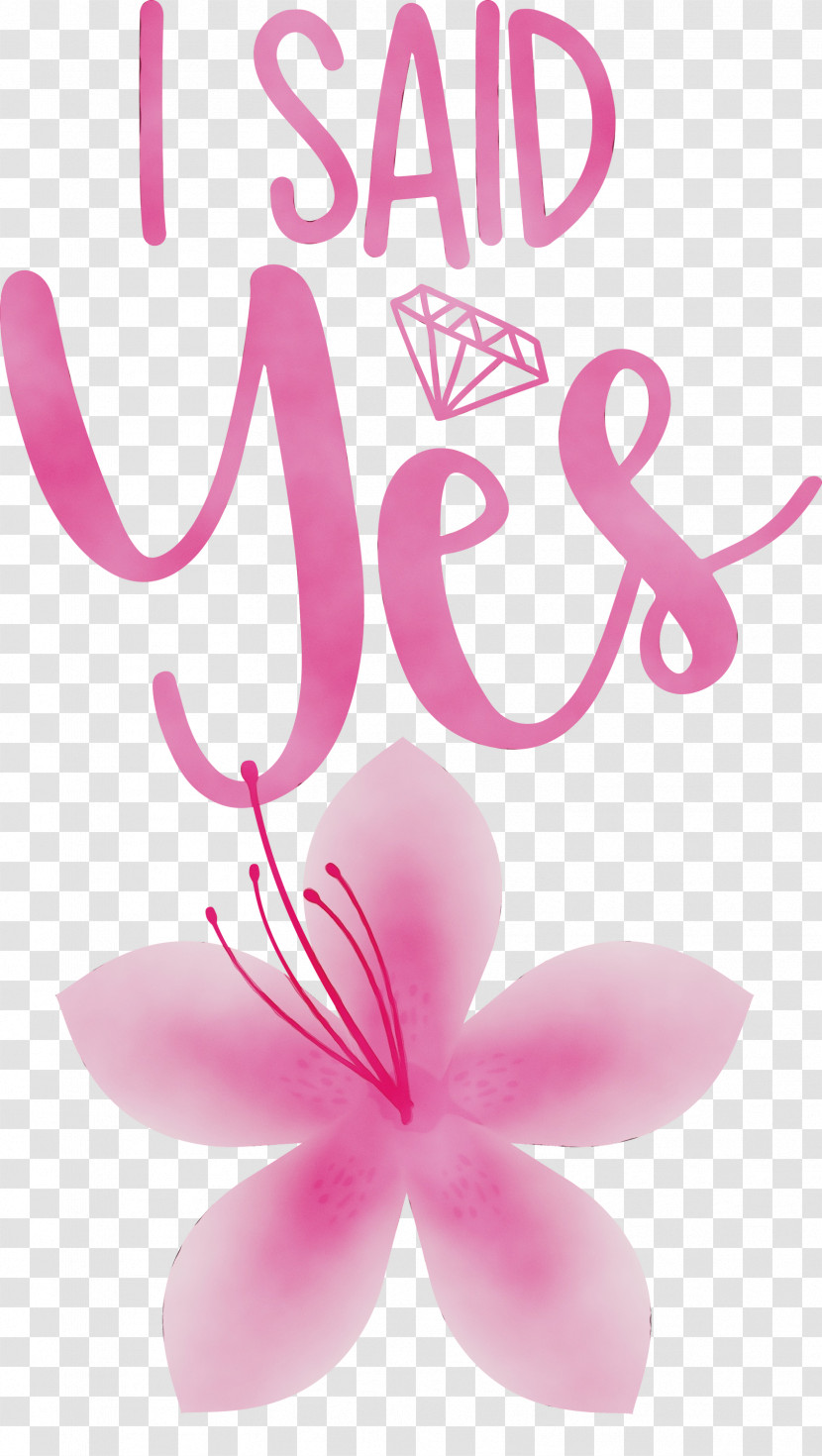 Flower Petal Font Meter Transparent PNG