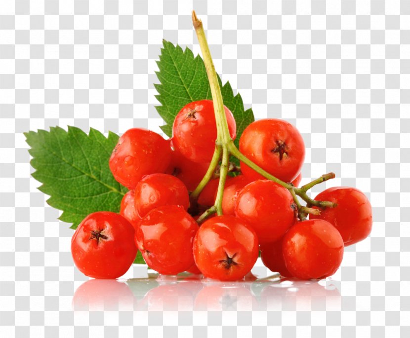 Natural Foods Fruit Food Plant Cherry - Berry - Superfruit Flowering Transparent PNG