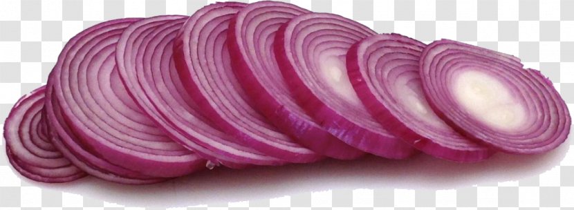 Leftovers Onion Vegetable Food Dicing - Salad Transparent PNG