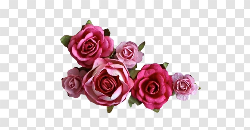 Garden Roses Clip Art Cabbage Rose Adobe Photoshop GIF - Floristry - Floral Wreath Transparent PNG