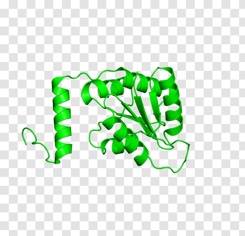Leaf Logo Clip Art Transparent PNG
