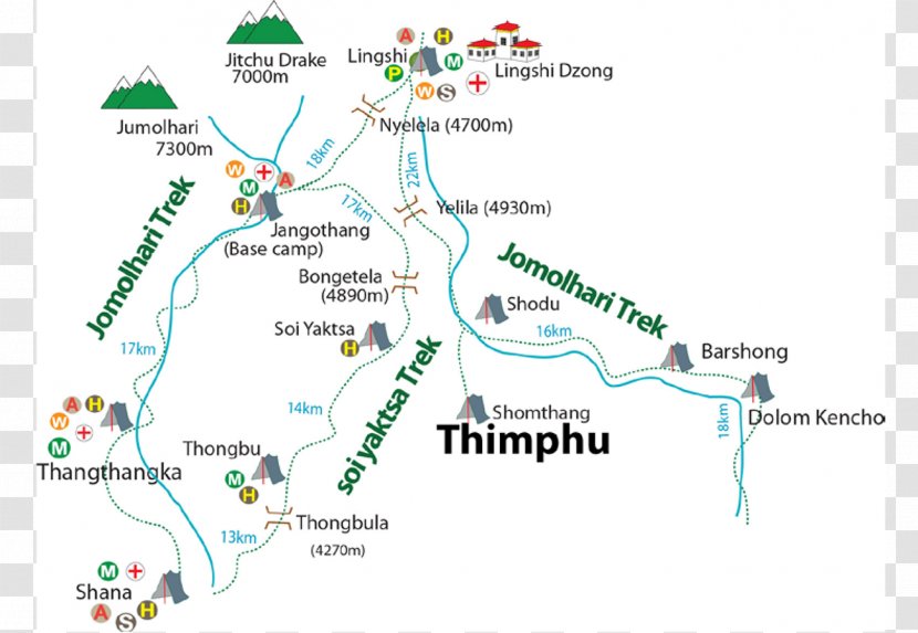 Map Tree Line Tuberculosis Transparent PNG