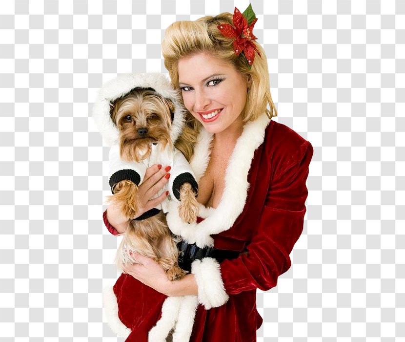 Mrs. Claus Santa Christmas Ornament Dog Breed - Fictional Character Transparent PNG
