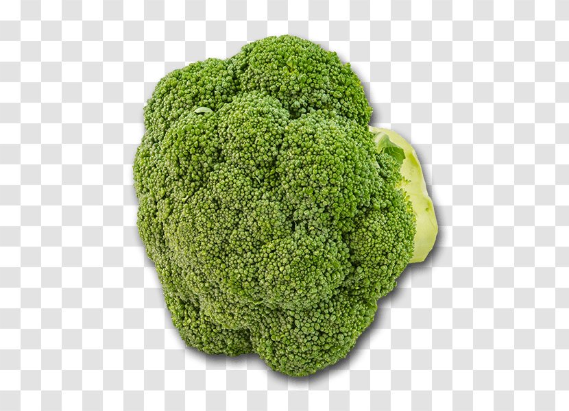 Broccoli - Leaf Vegetable Transparent PNG