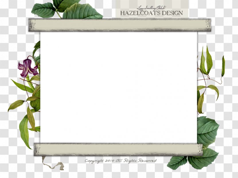 Table Furniture Clematis Crispa Flower Plant - Picture Frame - MOLDURA Transparent PNG