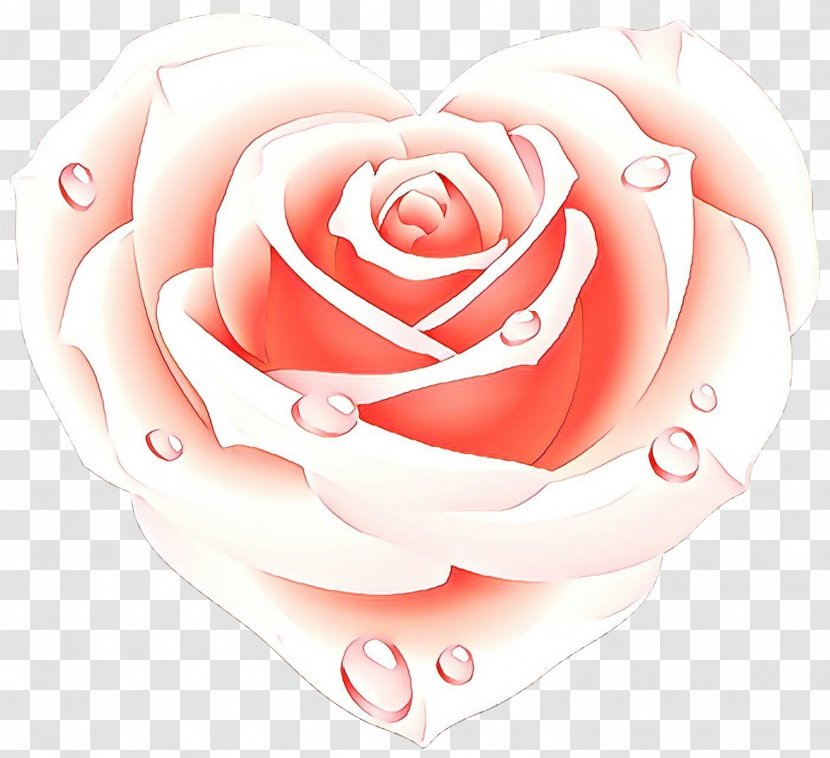 Rose Love Flowers - Hybrid Tea - Floribunda Order Transparent PNG