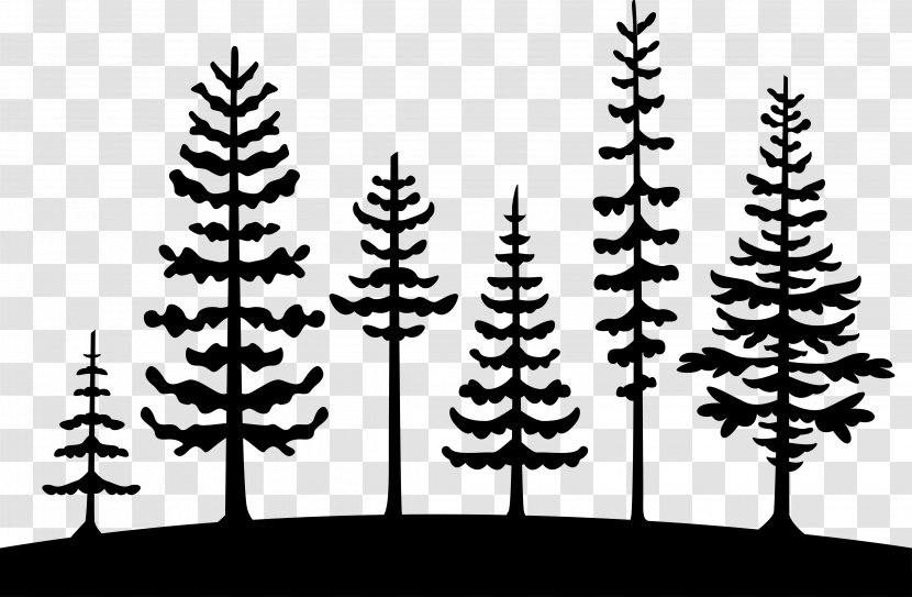 Tree Pine Clip Art Cedrus Libani Vector Graphics - Conifer - Norway Forest Step Transparent PNG