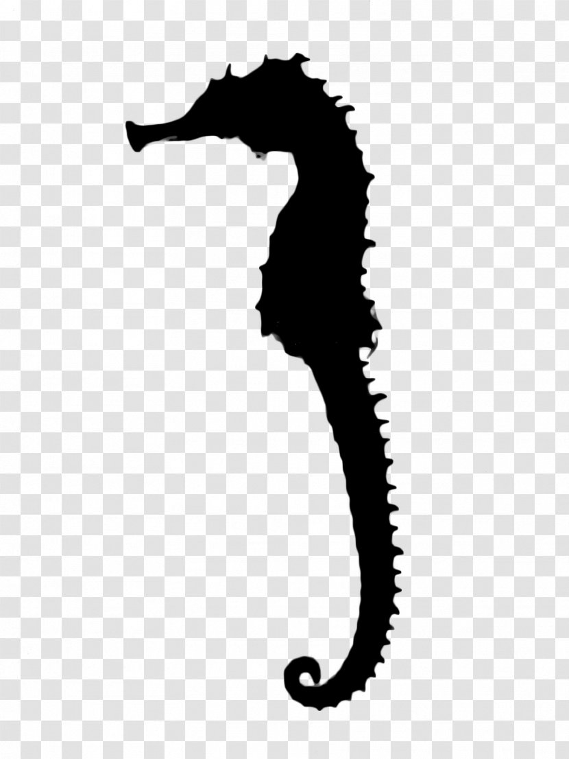 Seahorse Black & White - Bonyfish - M Clip Art Transparent PNG