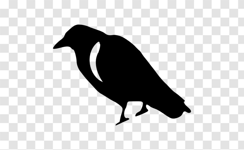 Crow Common Raven Clip Art - Monochrome Transparent PNG