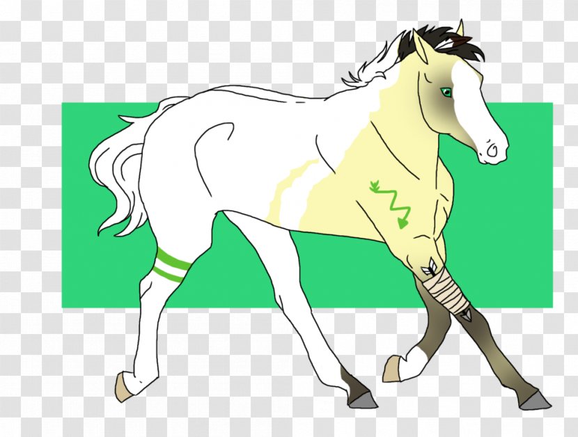 Mane Stallion Mustang Mare Colt - Organism - Painted Animals Transparent PNG