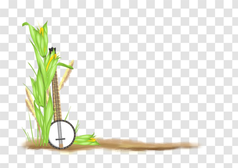 Flower Blog Plant Stem - Footwear - Page Corner Transparent PNG