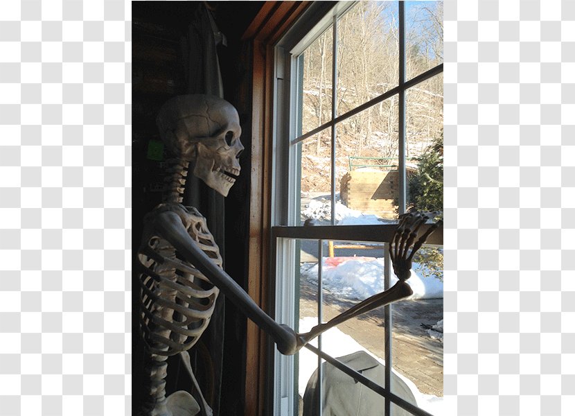 Window Interior Design Services Halloween Skeleton Transparent PNG