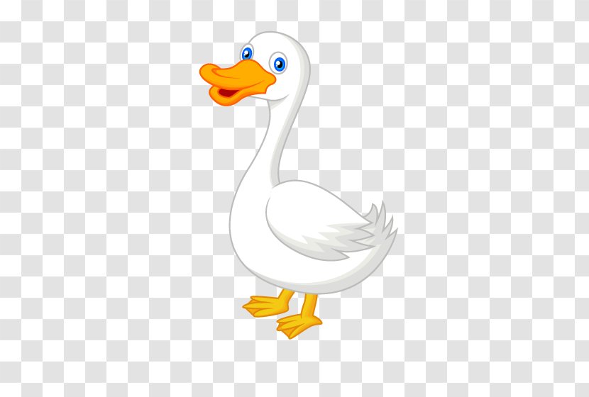 American Pekin Duck Animal - Waterfowl Transparent PNG