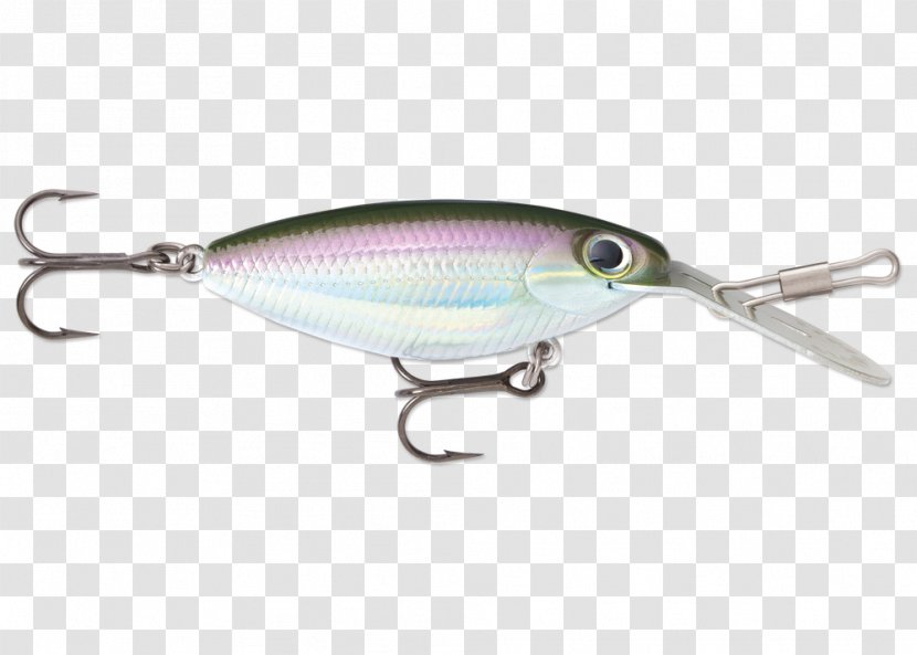 Spoon Lure Rainbow Smelt Perch Fish - Rattleballs Transparent PNG