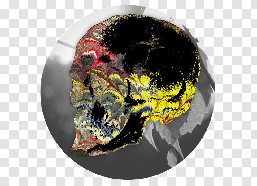 Skull - Bone - Ink Landscape Material Transparent PNG