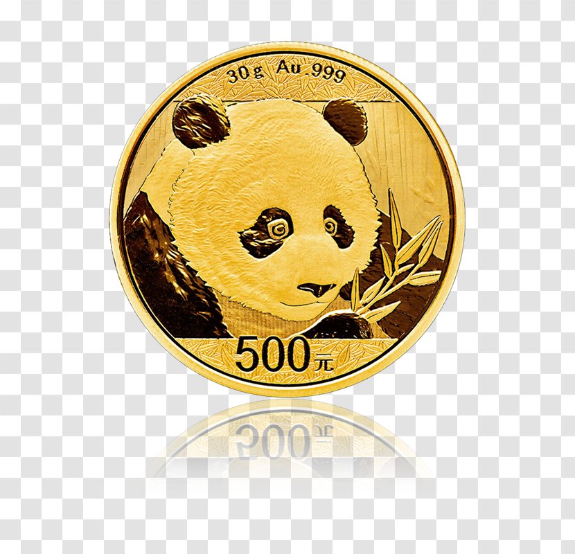 Giant Panda Chinese Gold Central Mint Bullion Transparent PNG