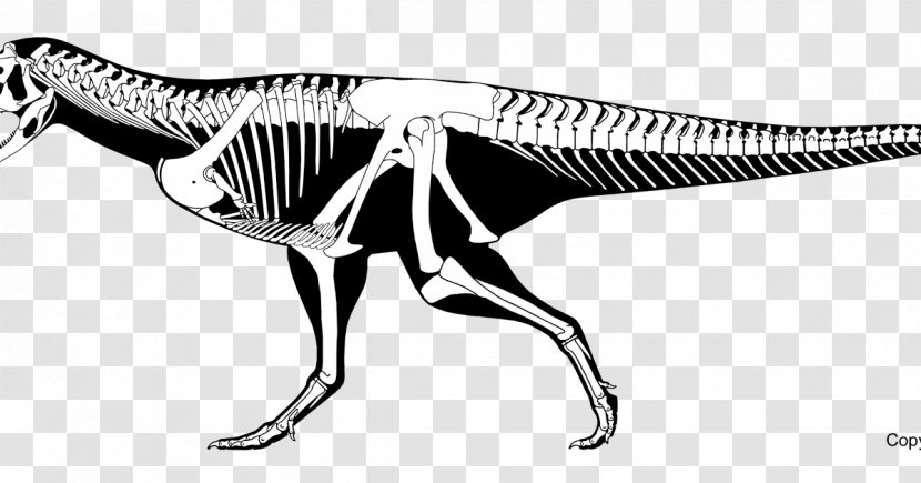 Carnotaurus Aucasaurus Abelisaurus Skorpiovenator Irritator - Dinosaur Transparent PNG