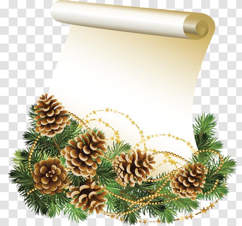 Christmas Paper Parchment - Evergreen Transparent PNG