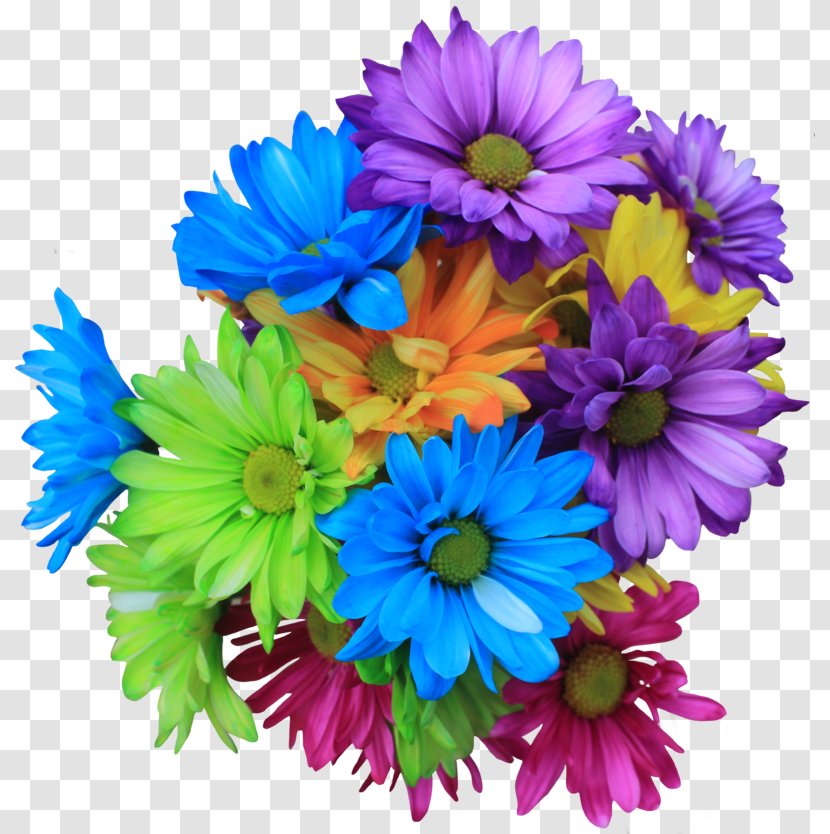 Flower Bouquet Transvaal Daisy Family Transparent PNG