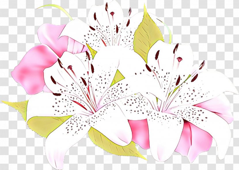 Floral Design Cut Flowers Flower Bouquet - Pink M Transparent PNG