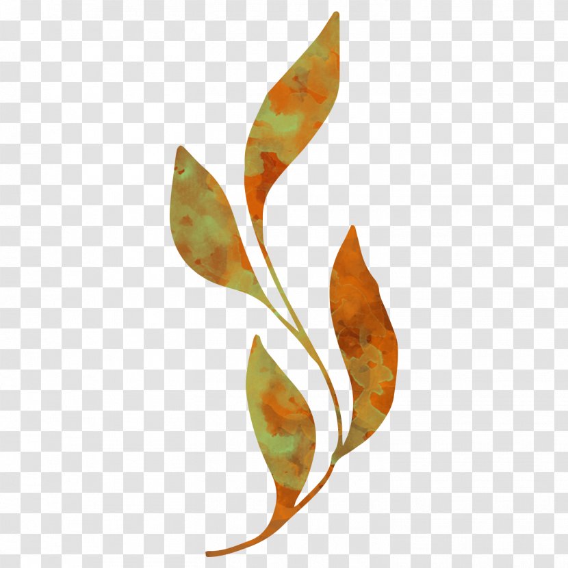 Leaf Watercolor Painting - Gum Trees - Yellow Leaves Vector Pattern Transparent PNG