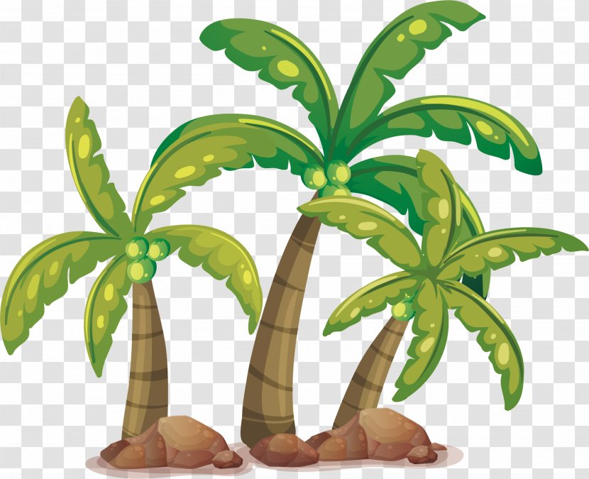 Coconut Arecaceae Tree Clip Art Transparent PNG