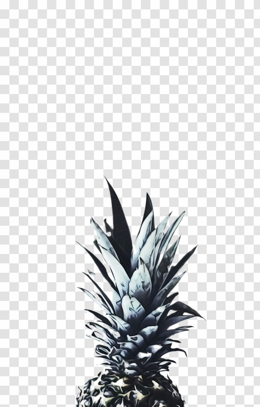 Pineapple - Fruit - Blackandwhite Flower Transparent PNG